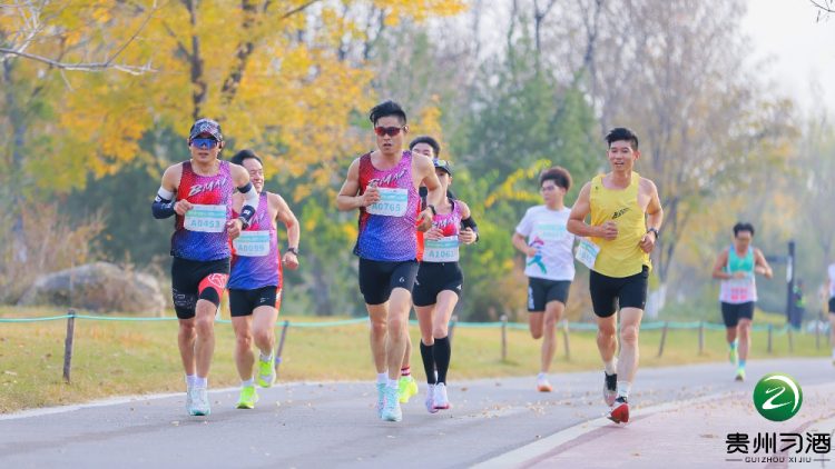 1763354794-d1236544e84a7de