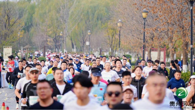 1763354806-e9c12464467d1eb