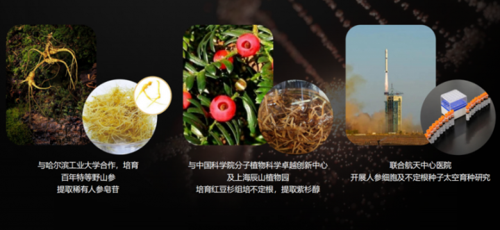 20260331122848936430516 20260331122848936430516