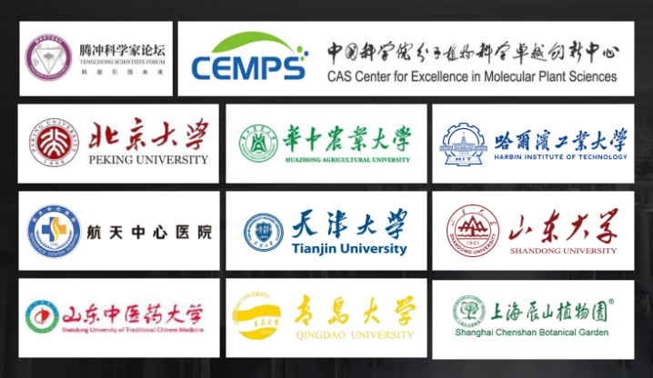 20260331122851541979151 20260331122851541979151