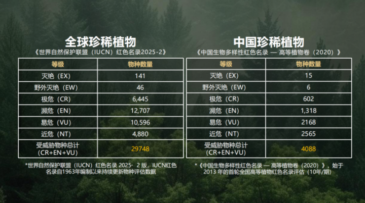 202603311228471323220180 202603311228471323220180